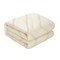 Darin 4pc Comforter Set With Pillow Shams and Decorative Pillow